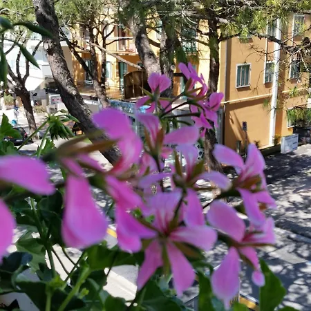 Danubio 3* Lido di Jesolo