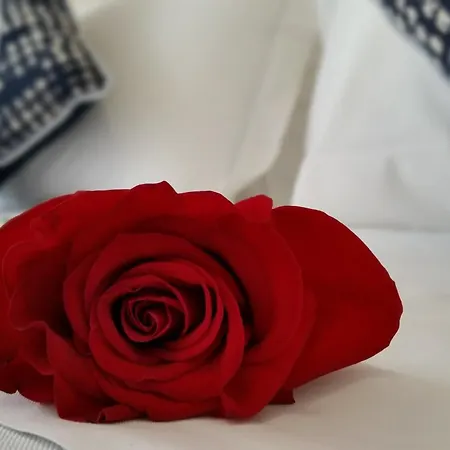 Danubio 3* 리도 디 예솔로