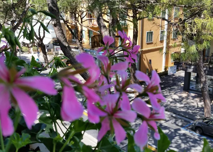 Danubio 3* Lido di Jesolo