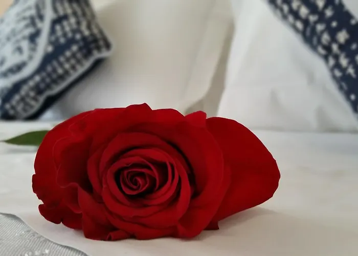 Danubio 3* リド・ディ・イエゾロ